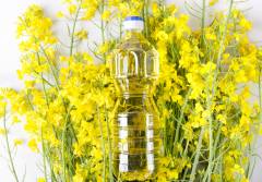 Top view of rapeseeds oil in the plastic bottle.Bootle of canola oil on the blooming canola flowers